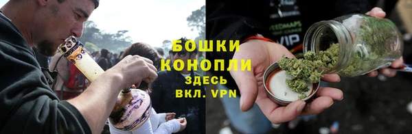 молекула духа Горнозаводск