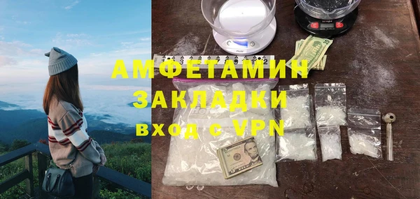 амф Гусев
