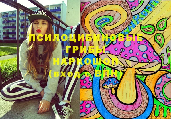 молекула духа Горнозаводск