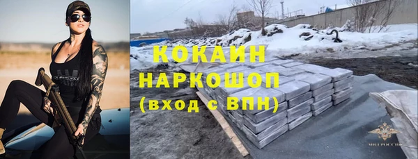 амф Гусев