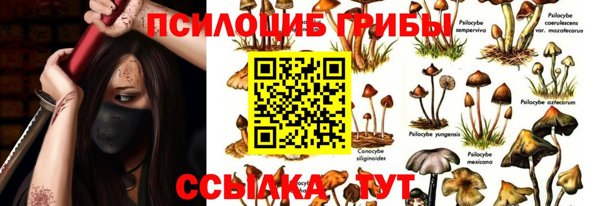 Галлюциногенные грибы Psilocybe  Псилоцибиновые грибы Psilocybine cubensis  Благовещенск  Вход с VPN 