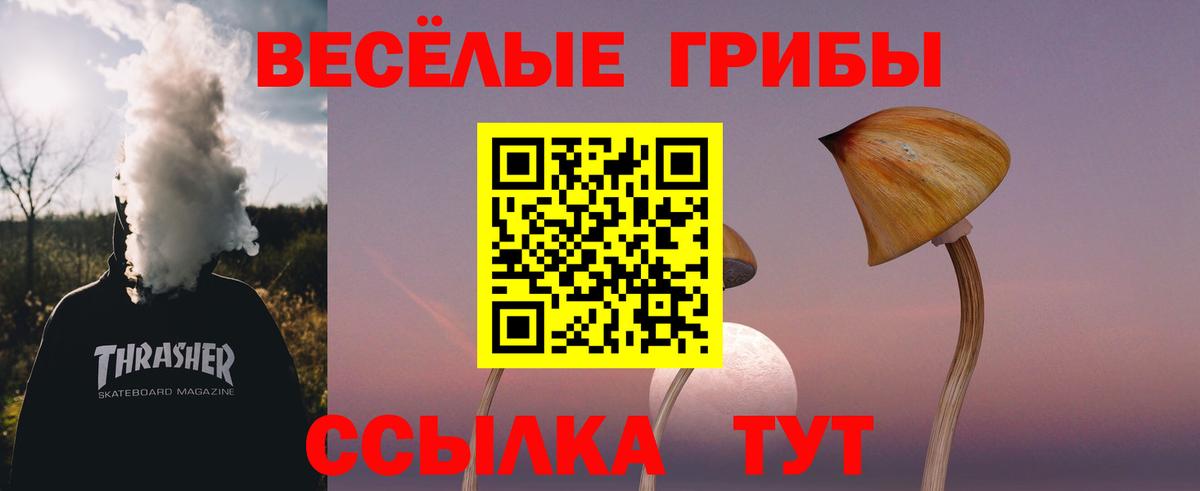 Галлюциногенные грибы Cubensis Благовещенск